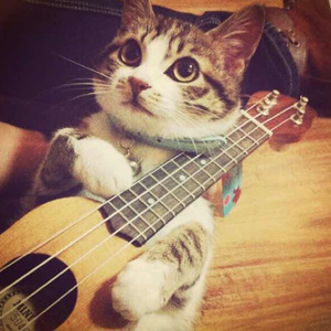 男人🐔和女人做爱的视频
